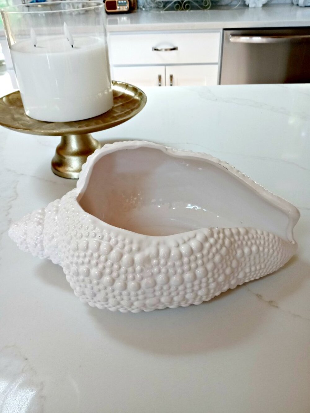 CONCH SHELL PLANTER CATCH ALL BOWL